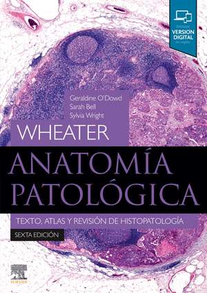 Anatomía patológica : texto, atlas y revisión de histopatología de Geraldine O'Dowd