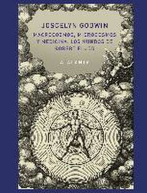 Macrocosmos, microcosmos y medicina : los mundos de Robert Fludd de Joscelyn Godwin