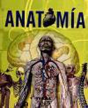 Anatomía de Adriana Rigutti