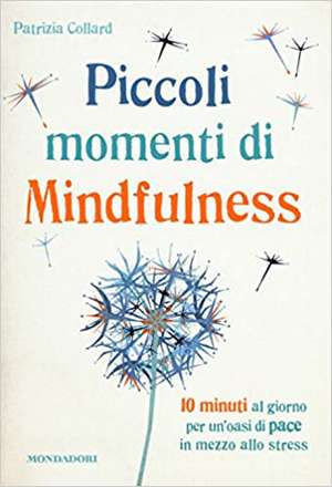 Piccoli momenti di mindfulness de Patrizia Collard