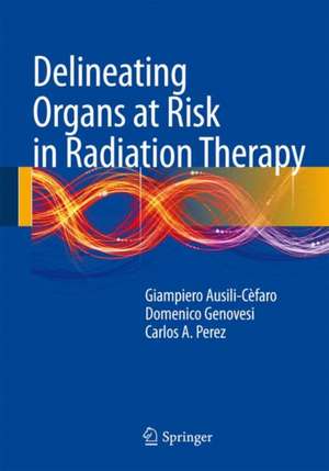 Delineating Organs at Risk in Radiation Therapy de Giampiero Ausili Cèfaro