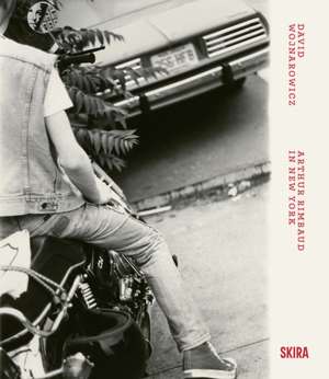 David Wojnarowicz de Antonio Sergio Bessa