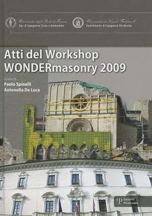 WONDERmasonry: Workshop on Design for Rehabilitation of Masonry Structures/Tecniche Di Modellazione E Progetto Per Interventi Sul Cos de Paolo Spinelli