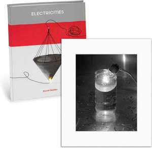 Electricities (Limited Edition) de David Goldes