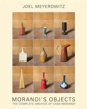 Joel Meyerowitz: Morandi's Objects de Amanda Renshaw
