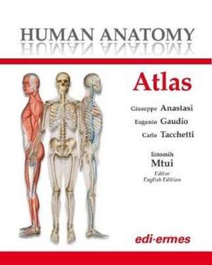 Human Anatomy Atlas