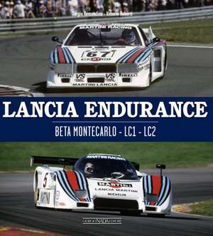 Lancia Endurance de Sergio Remondino