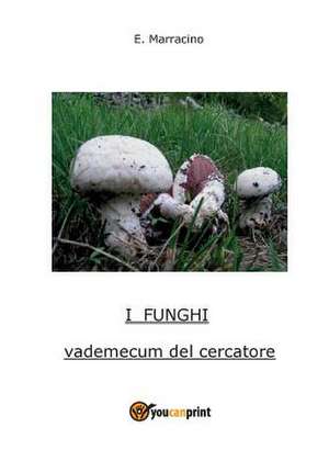 I Funghi de Ermanno Marracino