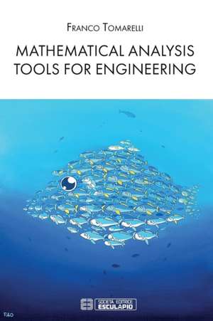 Mathematical Analysis Tools for Engineering de Franco Tomarelli