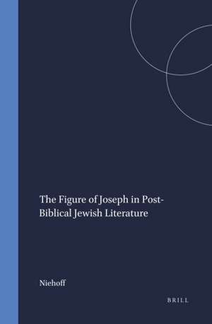 The Figure of Joseph in Post-Biblical Jewish Literature de Niehoff