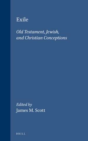 Exile: Old Testament, Jewish, and Christian Conceptions de Bruce D. Chilton