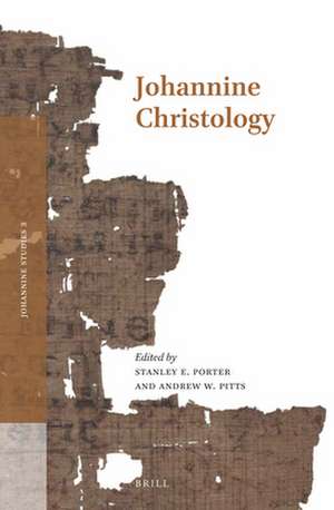 Johannine Christology de Stanley E. Porter