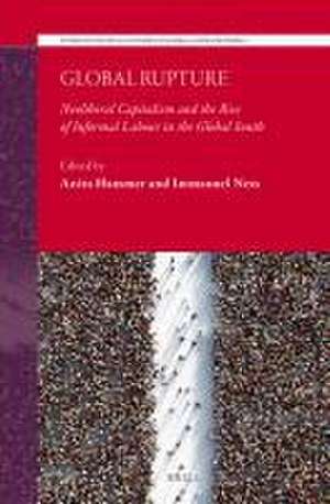 Global Rupture: Neoliberal Capitalism and the Rise of Informal Labour in the Global South de Anita Hammer