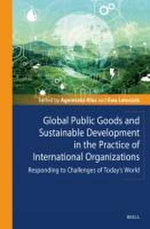 Global Public Goods and Sustainable Development in the Practice of International Organizations: Responding to Challenges of Today’s World de Ewa Latoszek