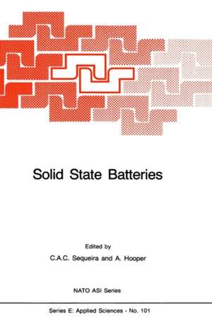 Solid State Batteries de César A.C. Sequeira