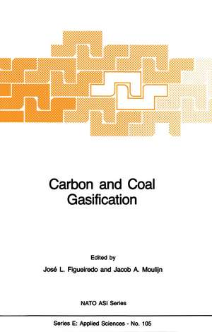 Carbon and Coal Gasification: Science and Technology de J.L. Figueiredo