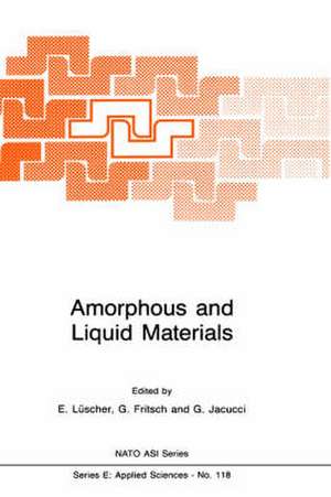 Amorphous and Liquid Materials de E. Lüscher