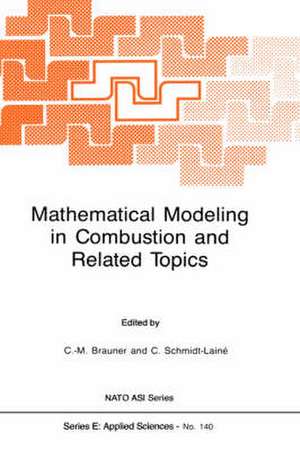 Mathematical Modeling in Combustion and Related Topics de Claude-Michel Brauner