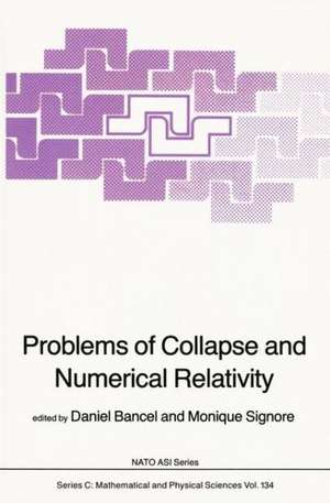 Problems of Collapse and Numerical Relativity de D. Bancel