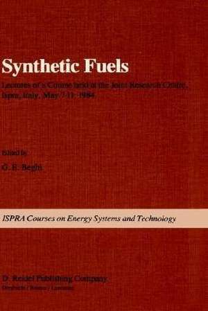 Synthetic Fuels de G. Beghi