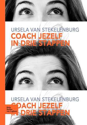 Coach jezelf in drie stappen de H. van Stekelenburg