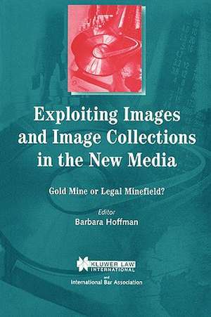 Exploiting Images and Image Collections in the New Media: Gold Mine or Legal Minefield? de Barbara Hoffman