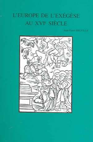 L'Europe de L'Exegese Au Xvie Siecle: Interpretations de La Parabole Des Ouvriers a la Vigne (Matthieu 20,1-16) de Jean-Pierre Delville