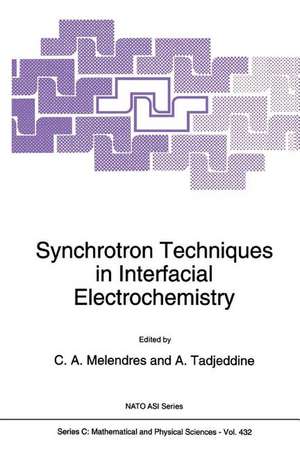 Synchrotron Techniques in Interfacial Electrochemistry de C. a. Melendres