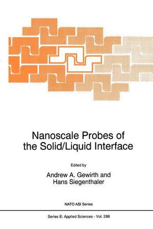 Nanoscale Probes of the Solid/Liquid Interface de Andrew A. Gewirth