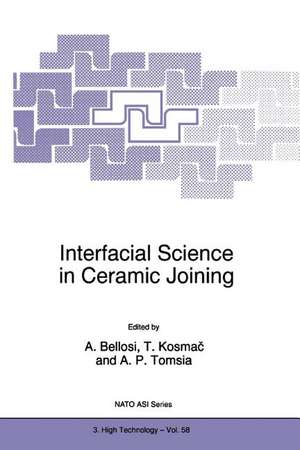 Interfacial Science in Ceramic Joining de Alida Bellosi