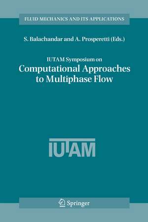 IUTAM Symposium on Computational Approaches to Multiphase Flow: Proceedings of an IUTAM Symposium held at Argonne National Laboratory, October 4-7, 2004 de S. Balachandar