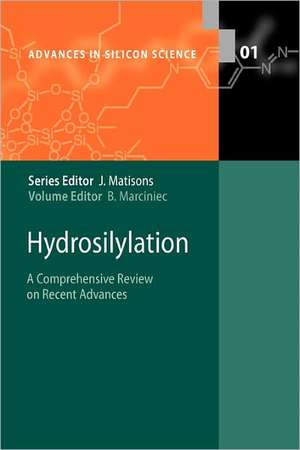 Hydrosilylation: A Comprehensive Review on Recent Advances de Bogdan Marciniec
