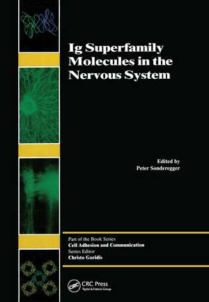 Ig Superfamily Molecules in the Nervous System de Peter Sonderegger