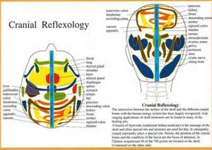 Cranial Reflexology -- A4 de Jan van Baarle