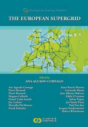 European Energy Studies Volume VII: The European Supergrid de Ana Aguado Cornago