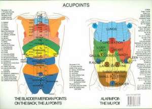 Acupoints -- A2 de Jan van Baarle