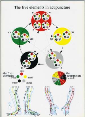 Five Elements in Acupuncture -- A4 de Jan van Baarle