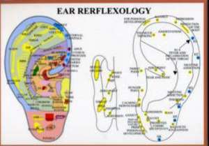 Ear Reflexology -- A4 de Jan Van Baarle