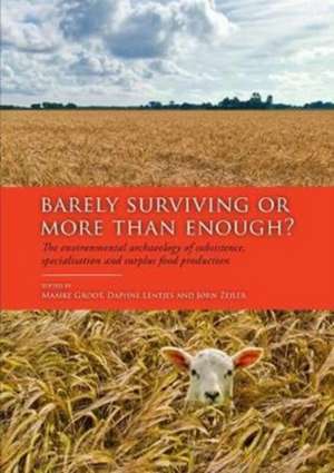 Barely Surviving or More Than Enough? de Maaike Groot