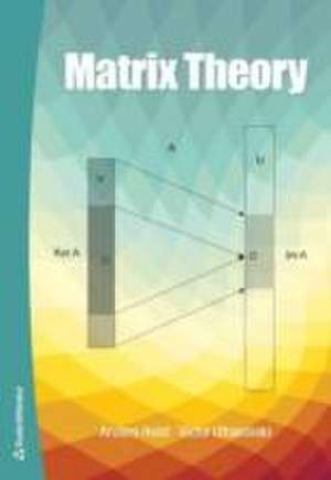 Matrix Theory de Anders Holst