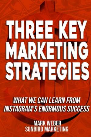 Three Key Marketing Strategies de Sunbird Marketing