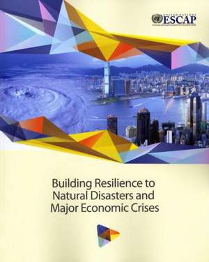 Building Resilience to Natural Disasters and Major Economic Crises de United Nations