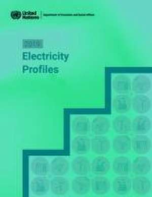 2019 electricity profiles de United Nations: Department of Economic and Social Affairs: Statistics Division