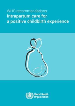 Who Recommendations on Intrapartum Care for a Positive Childbirth Experience de World Health Organization