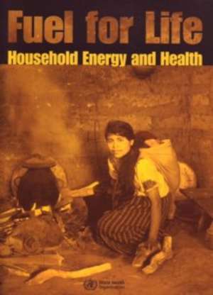 Fuel for Life: Household Energy and Health