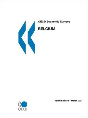 OECD Economic Surveys: Belgium 2007 de Publishing Oecd Publishing