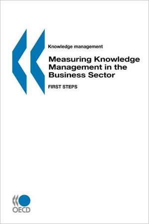 Knowledge Management Measuring Knowledge Management in the Business Sector: First Steps de OECD Publishing