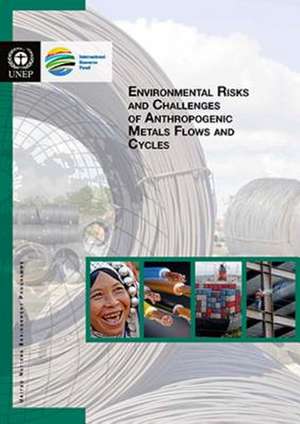 Environmental Risks and Challenges of Anthropogenic Metals Flows and Cycles de United Nations