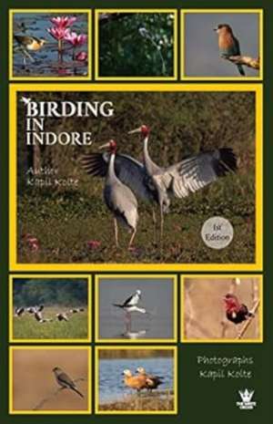 Kolte, K: Birding In Indore de Kapil Kolte