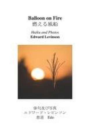 Balloon on Fire: Haiku and Photos de Edward Levinson